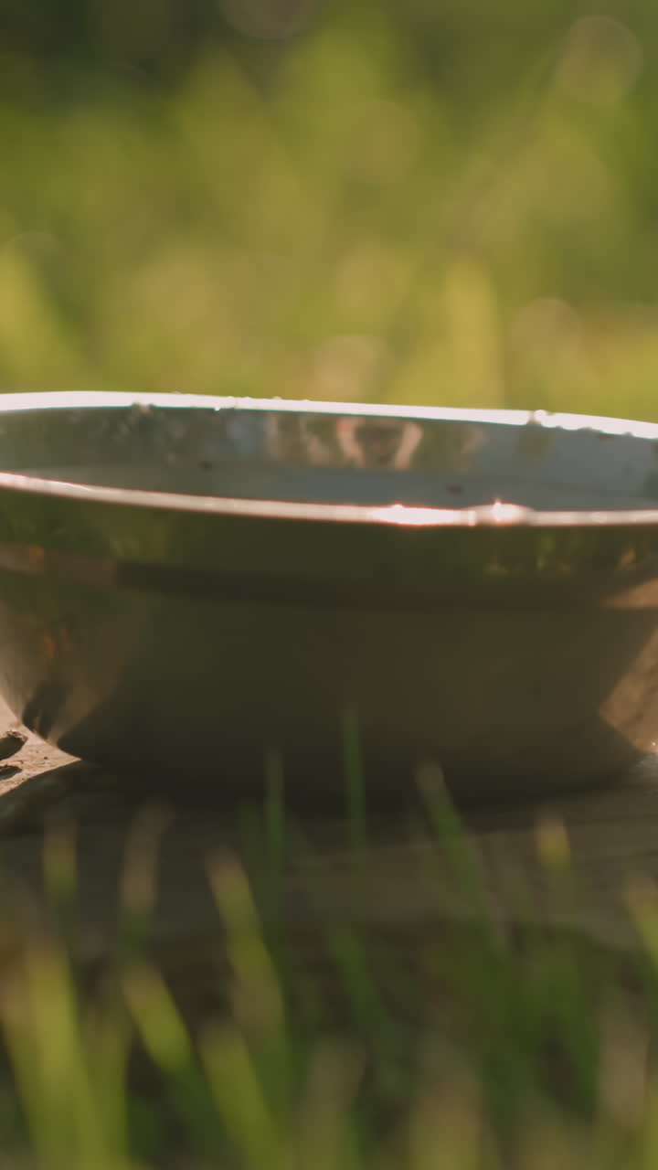 cuenco de metal colocado en madera en un campo cubierto de hierba con luz solar que proyecta sombras suaves, creando una atmósfera pacífica y rústica, el movimiento de la sombra se refleja en la madera, difuminándose en el fondo cálido y iluminado por el sol