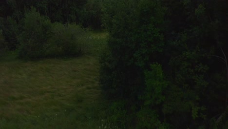 Dzianisz-countryside-trees-drone-tilt-reveal-onto-distant-landscape