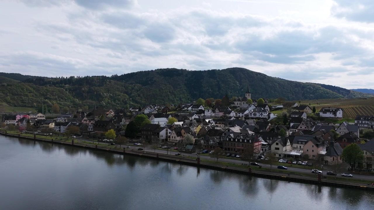 Una prospettiva aerea mostra l'incantevole città di Cochem lungo il tranquillo fiume Mosella, circondata da colline verdeggianti