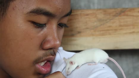 adolescente masculino asiático con bigote claro que pasa tiempo de calidad uniéndose y entrenando a su mascota, una rata blanca dócil y amistosa