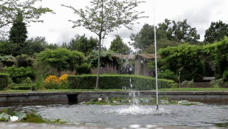 Garden-fountain-with-lily-pads,-serene-water-feature-surrounded-by-lush-flora