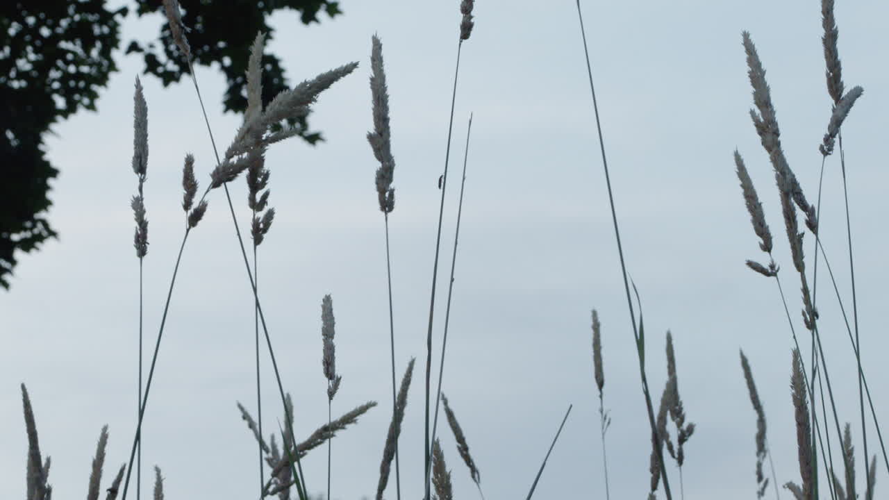 새벽에 빨대를 기어가는 벌레