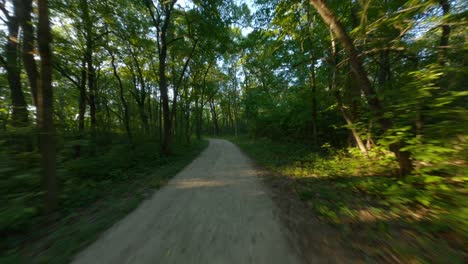 Andar-En-Bicicleta-Correr-Bajo-Las-Copas-De-Los-árboles