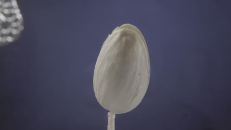 pistachio rotating with loop on blue screen for chroma key
