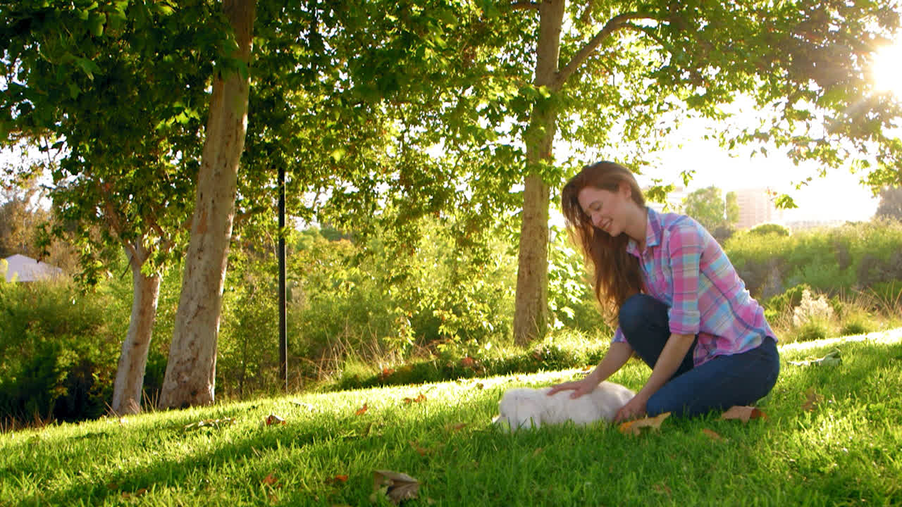 여자가 공원에서 개를 키우고 떠난다