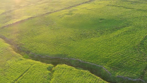 drone footage over green english countryside fields