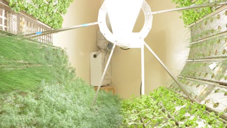 slow pull-out shot of a circular wheel vegetable farm cultivated by lights