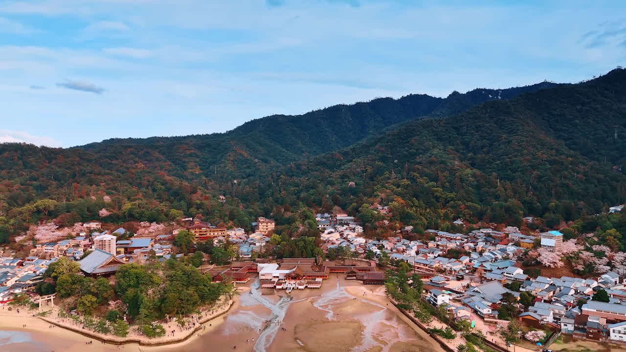 Thick forests cover the rocks near the inhabited area at the island of Miyajima, Japan. Drone footage above the spectacular Itsukushima Shrine at low tide.