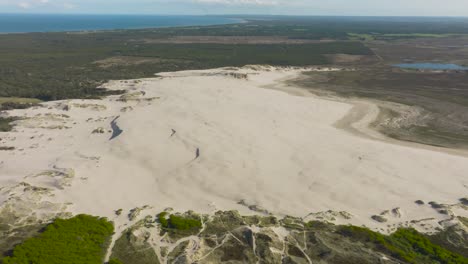 aerial view of large sand dunes in the middle of denmark's forest