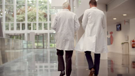 rear view of doctors talking as they walk through hospital