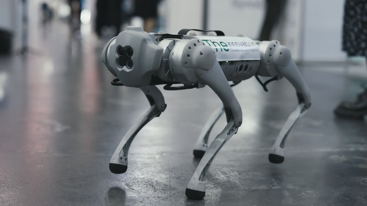 Robotic Dog Walking at a Technology Exhibition
