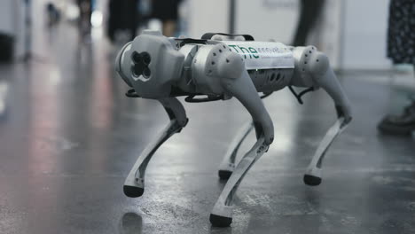 robotic dog walking at a technology exhibition