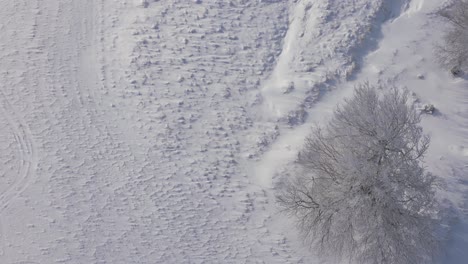 Toma-De-Arriba-Hacia-Abajo-En-El-Paisaje-Nórdico-Cubierto-De-Nieve