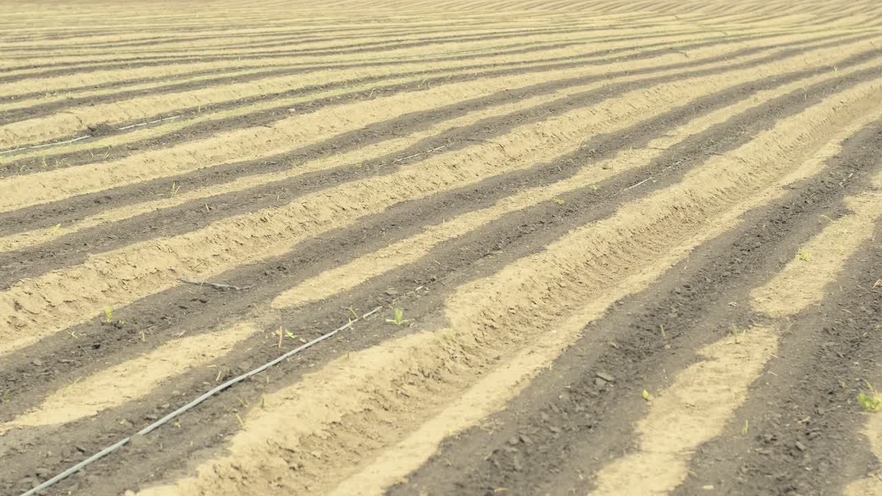 에 있는 물 관개 시스템