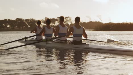 rear view of male rower team rowing on the lake