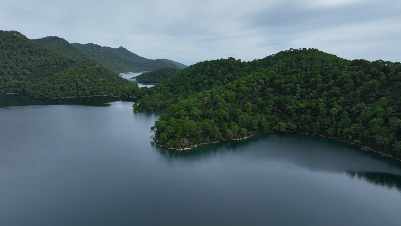 작은 섬과 울창한 초록색 풍경, 조용하고 활기찬 숲을 둘러싸고 있는 mjet 파란 물 위로 올라갑니다.