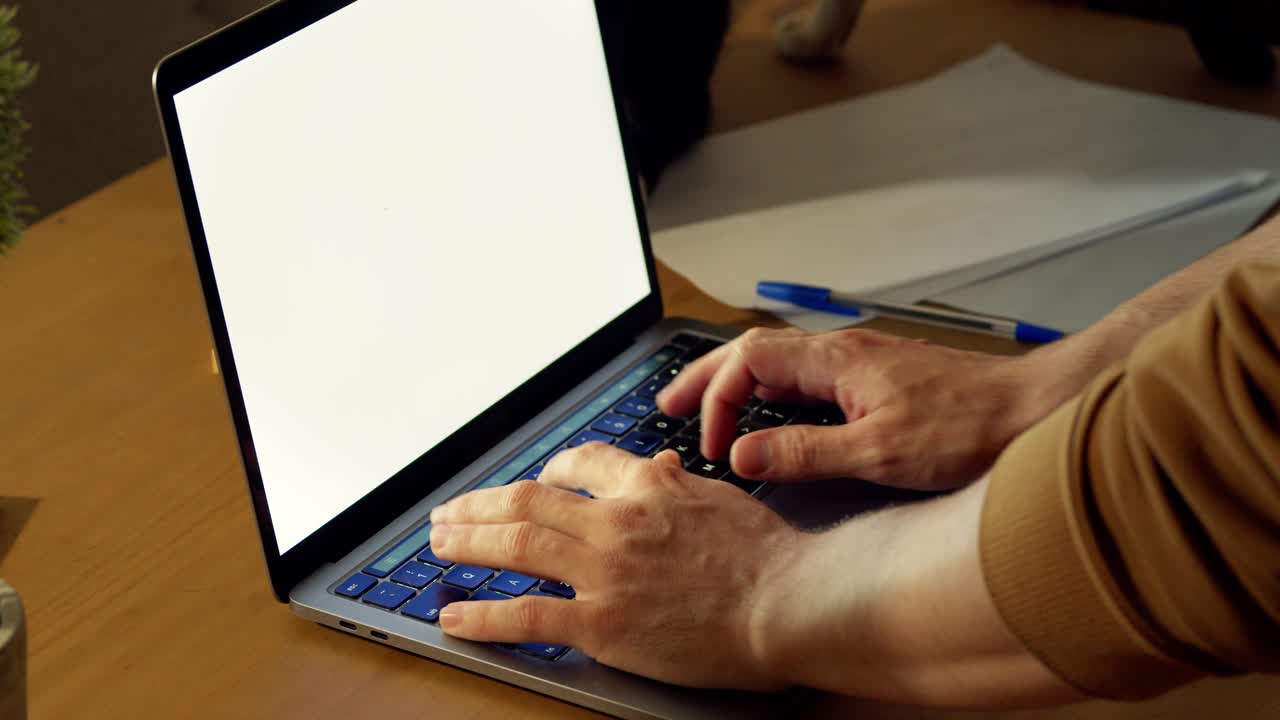 los gatos curiosos investigan una computadora portátil en una mesa con una persona interactuando con el dispositivo