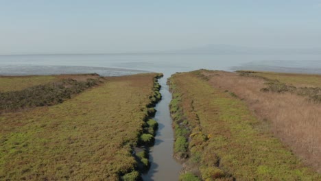 aerial video of delta water in northern california