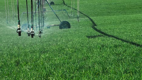 central pivot irrigation system close up, water spraying from sprinkler nozzles on crop