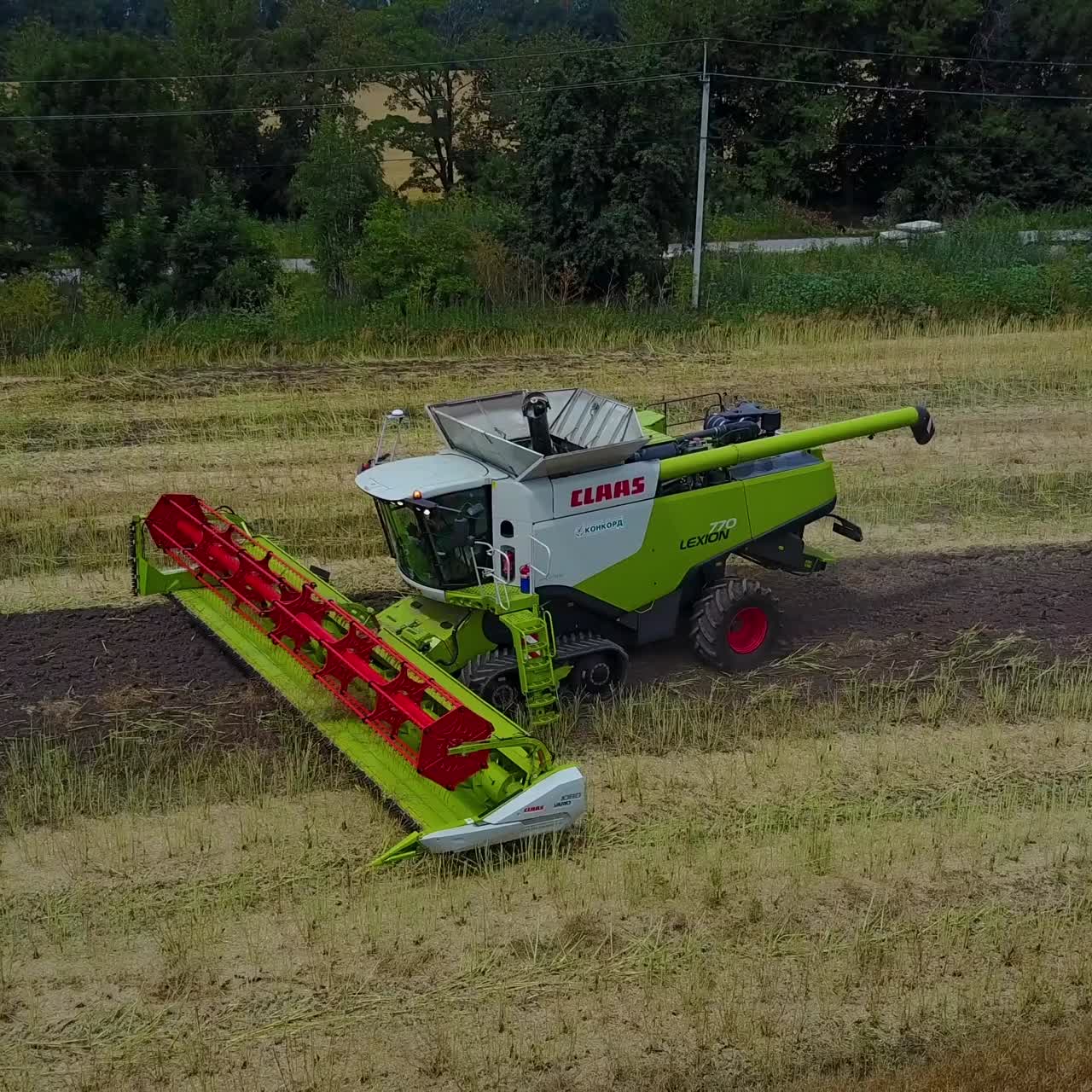 Big Combine In Canola Field