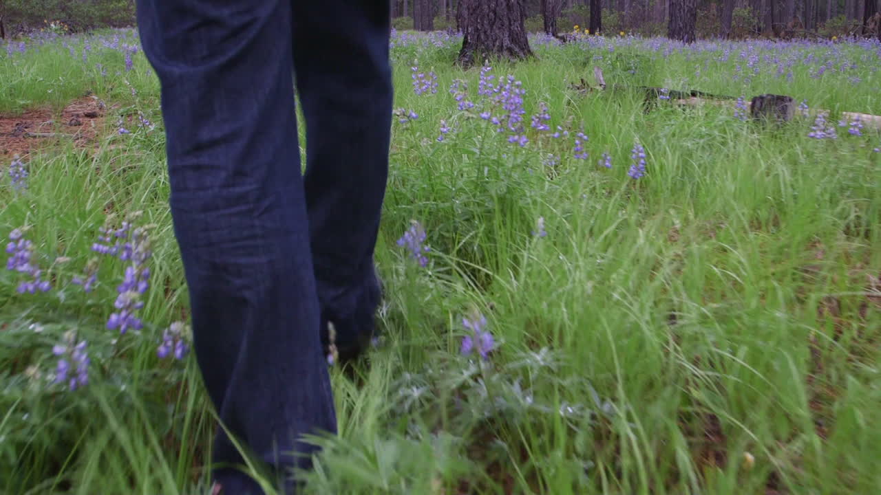 숲을 걷는 남자의 낮은 수준에서 pov 샷