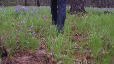 pov shot from a low level of a man walking through a forest