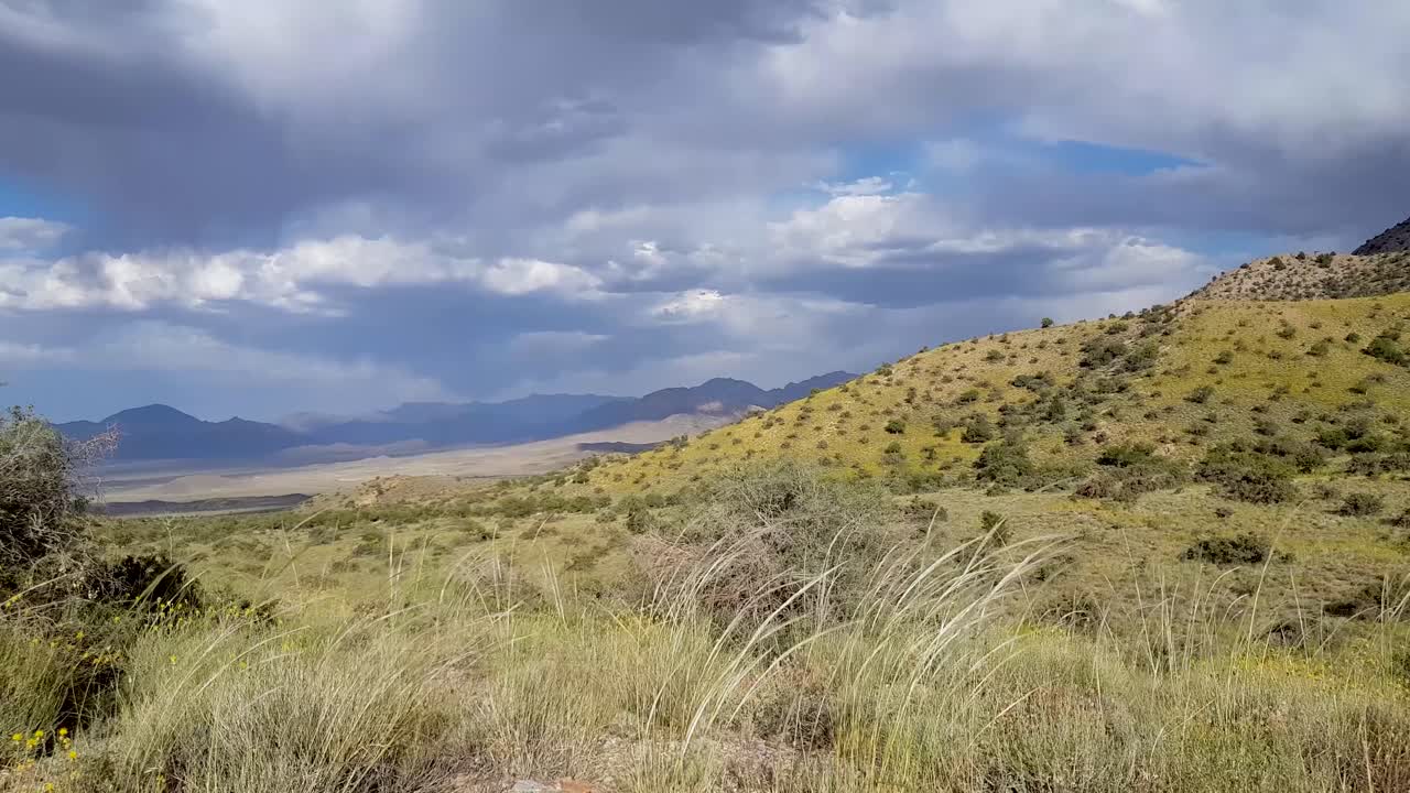 hermoso paisaje de hábitat de vida silvestre de leopardos, onagros y leones en pastizales, bosques de arbustos de sabana del parque nacional kabr kerman en irán