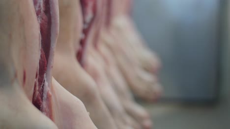 disemboweled pork carcasses hanging from hooks in slaughterhouse