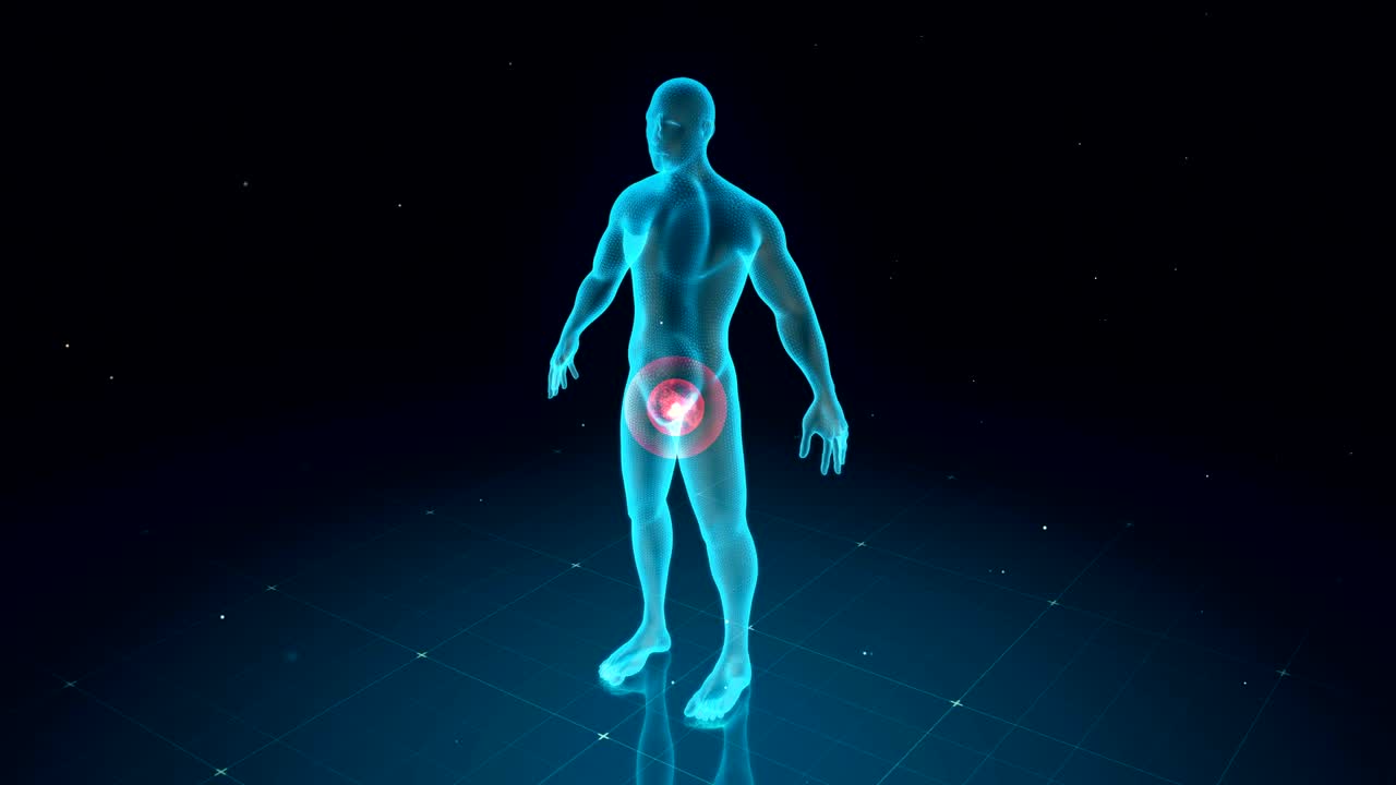 Digital human body with visible pain in different places, 6 different options