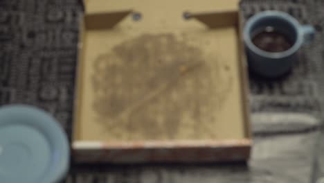 empty pizza boxes, home needs cleaning after party