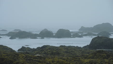 Waves-crashing-on-rocks-on-rugged-coastline-covered-in-fog-during-low-tide