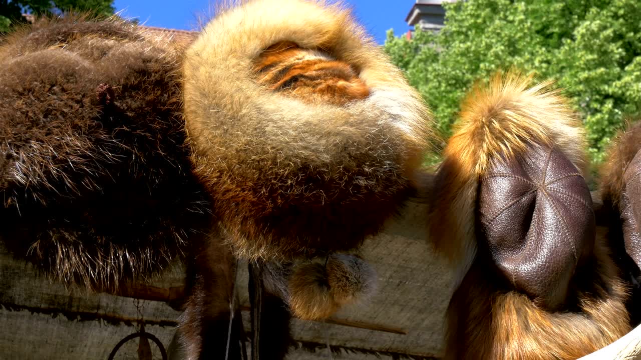 타린 (tallinn) 에스토니아 (estonia) 의 길가에 전시된 바이킹 (vikings)