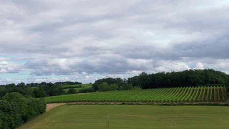 Viñedos-En-El-Sur-De-Francia-Bajo-Nubes-Que-Fluyen