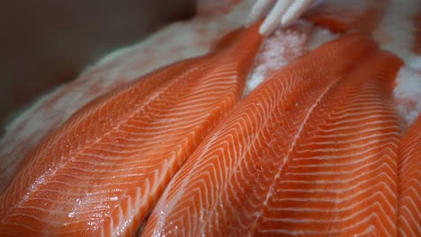 Hand-with-gloves-is-laying-down-a-raw-fillet-of-rainbow-trout-in-salt---Shallow-depth-handheld-slow-motion