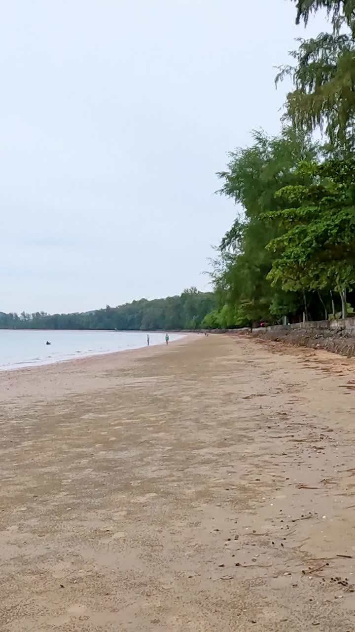 playa de arena tranquila con exuberante vegetación y olas tranquilas del océano