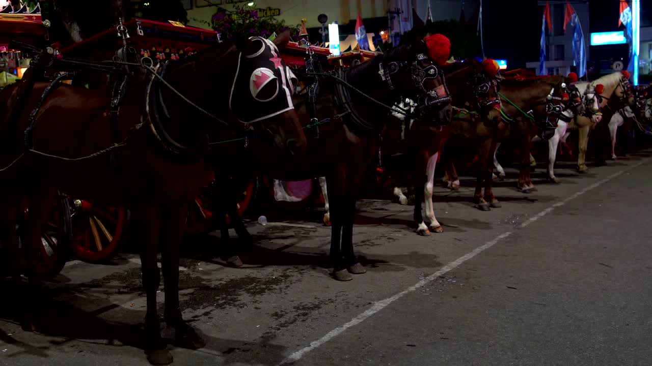 caballos marrones y blancos atados a un carruaje esperando a los turistas por la noche.