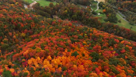 Drohnenaufnahmen-Von-Seneca-Felsen-In-West-Virginia-Während-Der-Hochsaison-Des-Herbstlaubs,-Die-In-Der-Nähe-Des-Berges-Fliegen