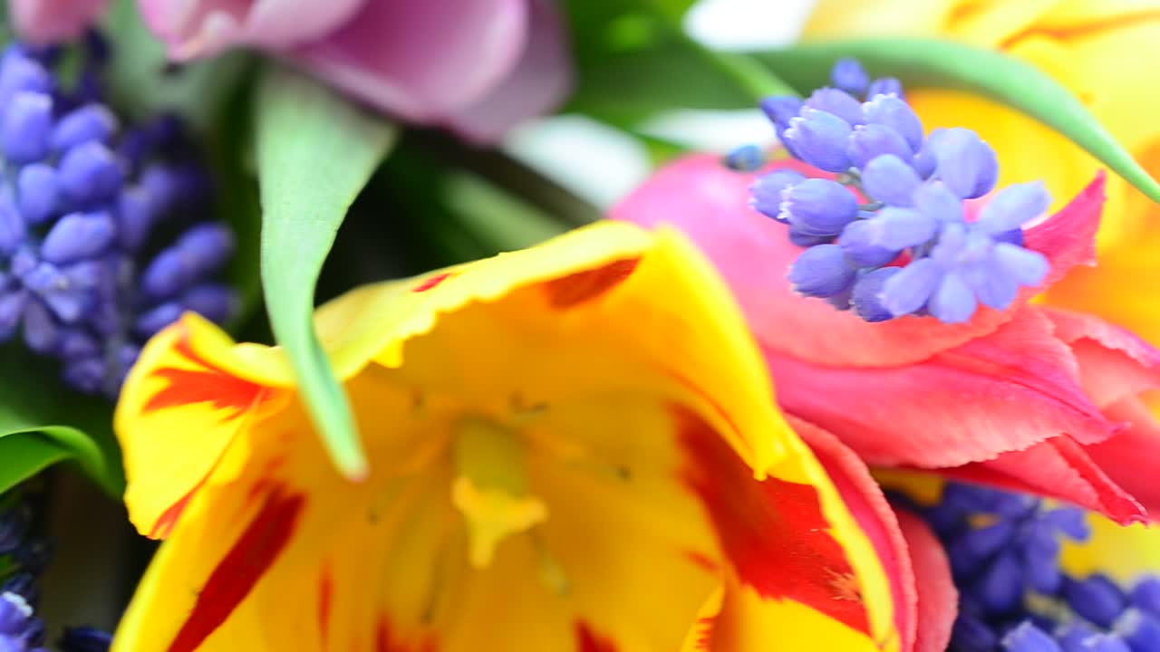 Festlicher Blumenstrauß. Licht und Blumen, Frühling.