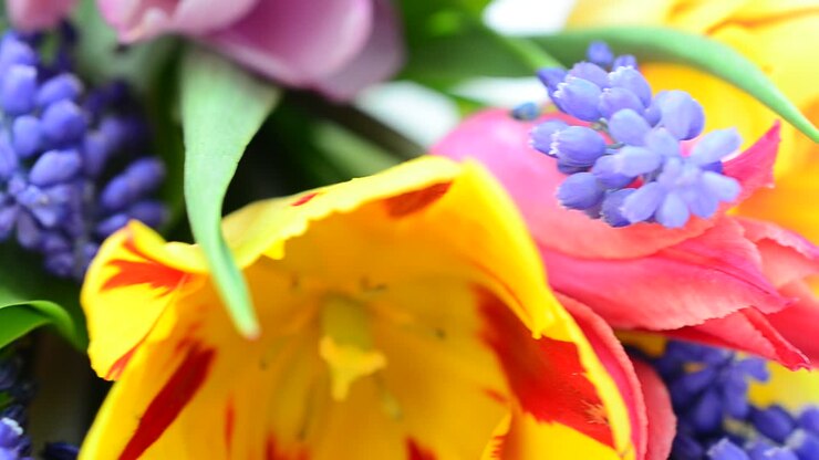 Festlicher Blumenstrauß. Licht und Blumen, Frühling.
