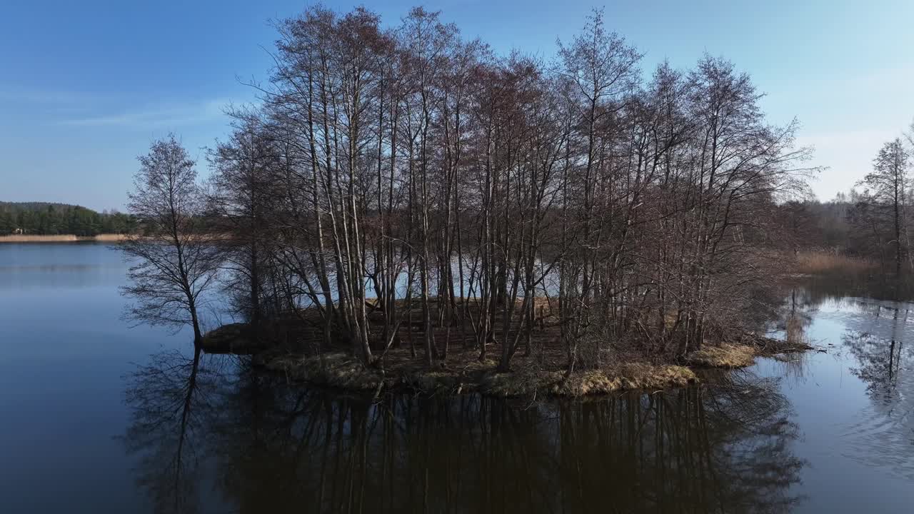 In early spring, a small island is covered with many large trees growing on it. Drone view.