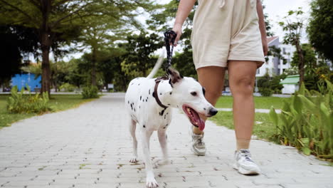 Woman-walking-the-dog