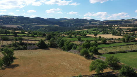 mixed woodland and pasture bocage aerial shot sunny day agricultural landscape