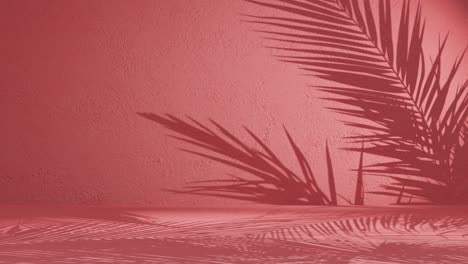 a palm leaves shadow on red background wall with copy space