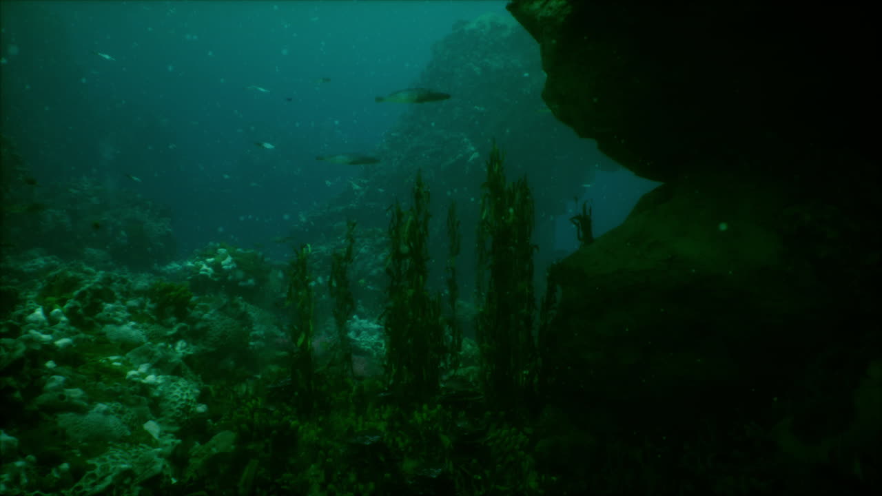 Escena de arrecife de coral submarino