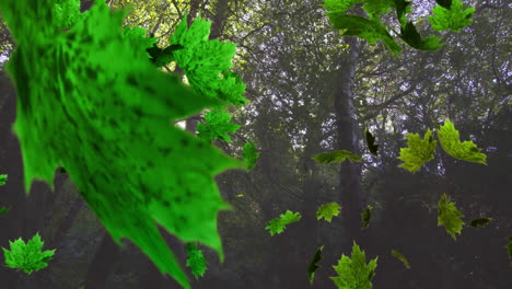 animación de varias hojas que caen sobre el bosque verde