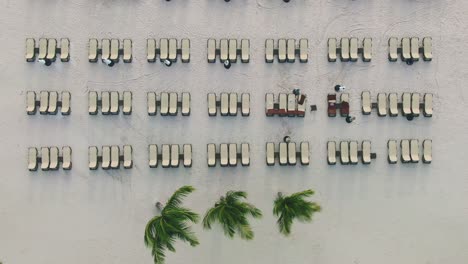aerial lift, tropical palm trees and sunny ocean waters