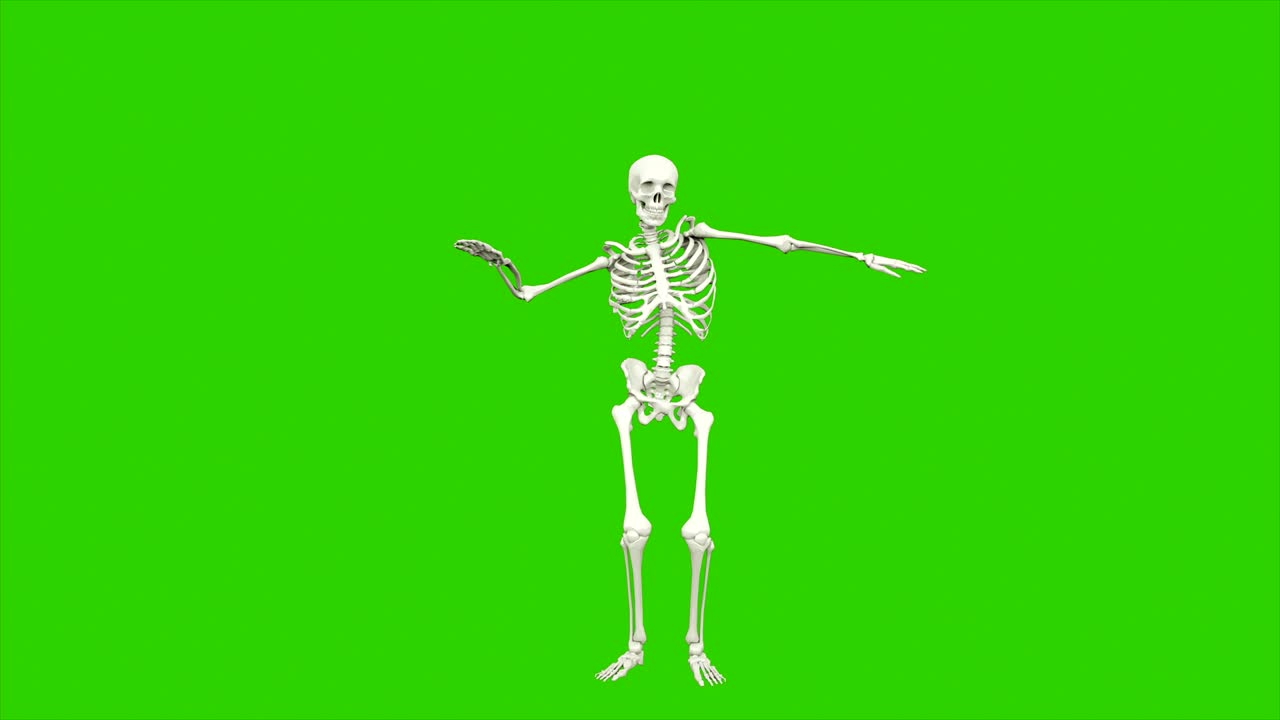 danza dello scheletro. animazione a loop senza soluzione di continuità sullo schermo verde.