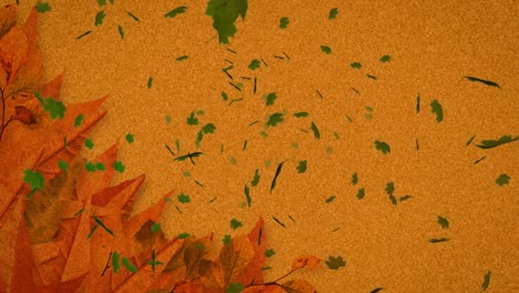 Animation-of-multiple-autumn-leaves-falling-on-brown-background