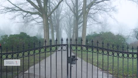 foggy path through a park