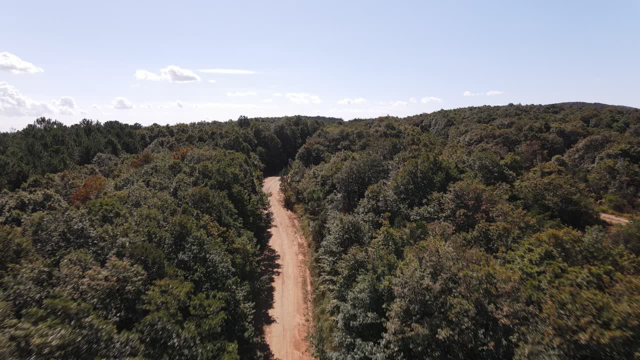 bosque naturaleza vista aerea 2